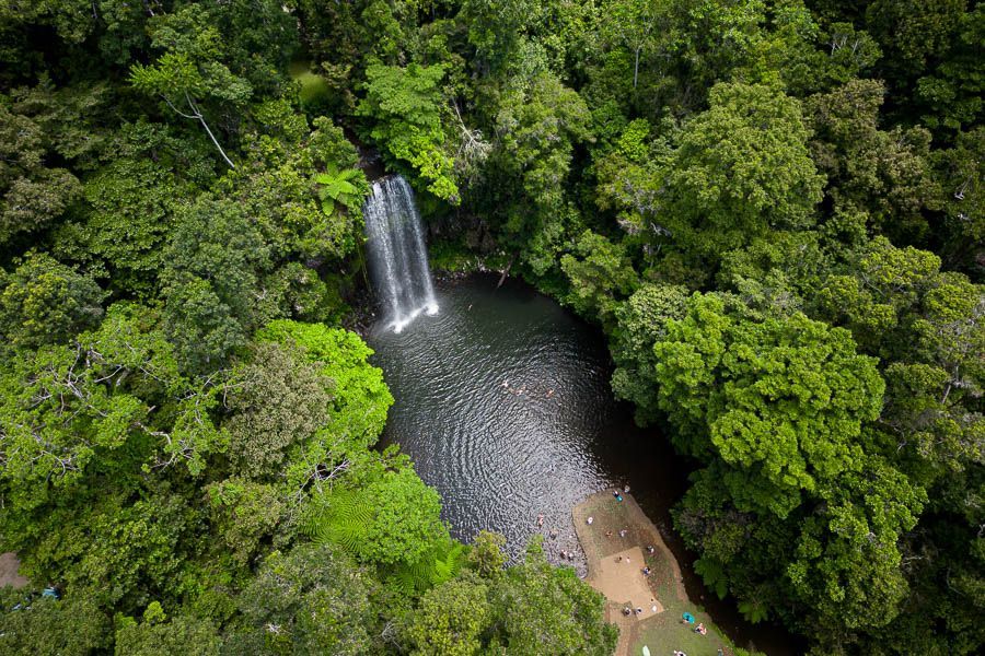 millaa millaa waterfalls surrounded by rainforest