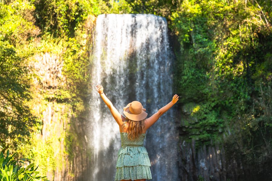 Millaa Millaa Falls in Atherton Tablelands Millaa Millaa Falls in Atherton Tablelands
