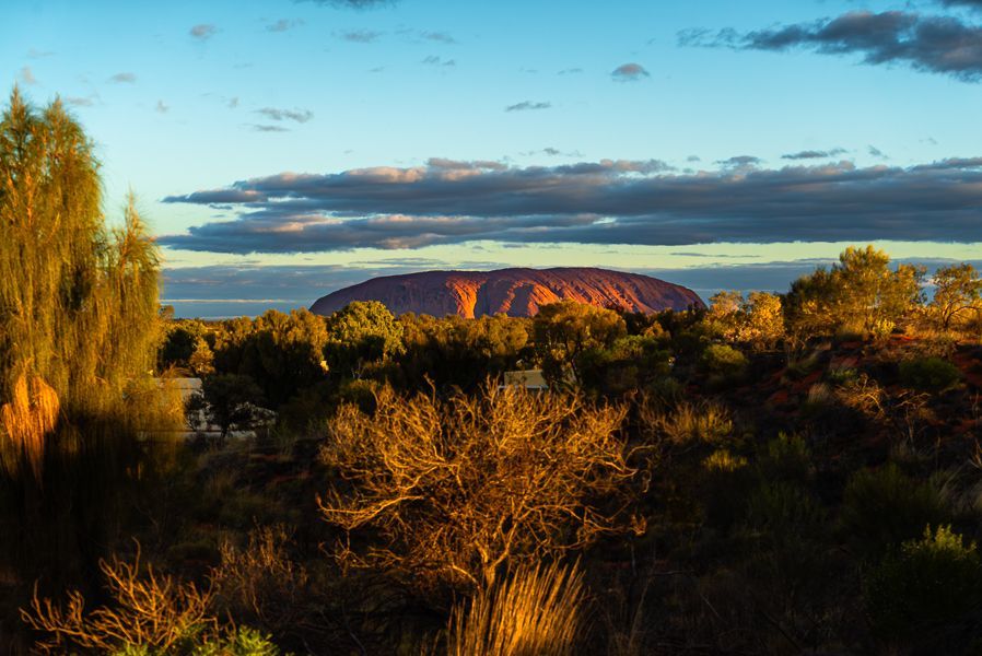 uluru in outback australia in early morning