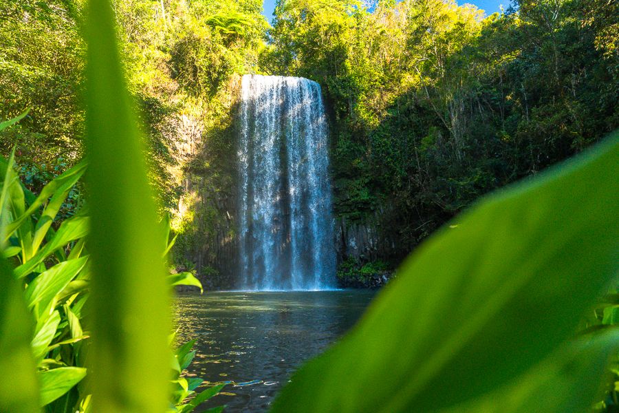 Millaa Millaa Falls in Cairns, Australia