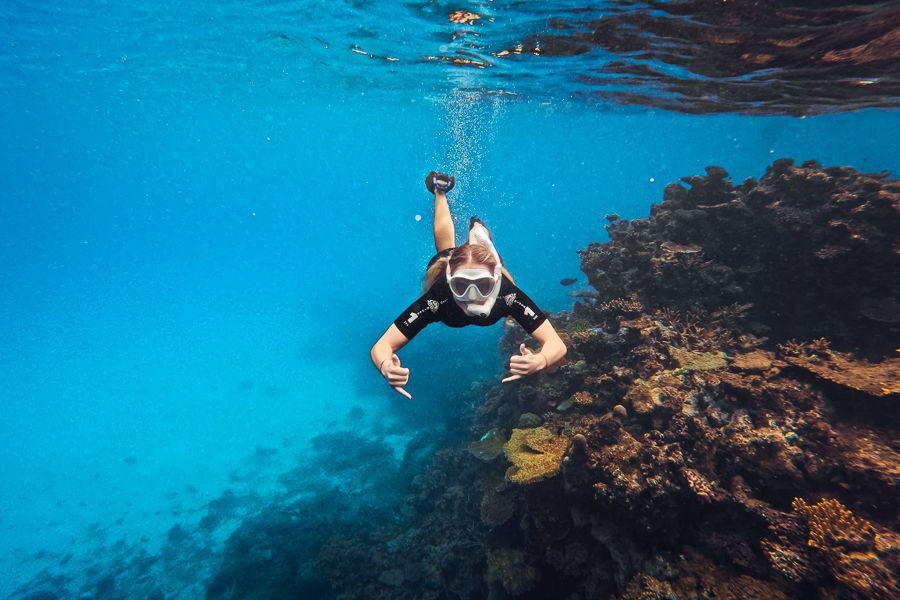 Great Barrier Reef, Cairns, Australia Snorkelling in the Great Barrier Reef in Cairns