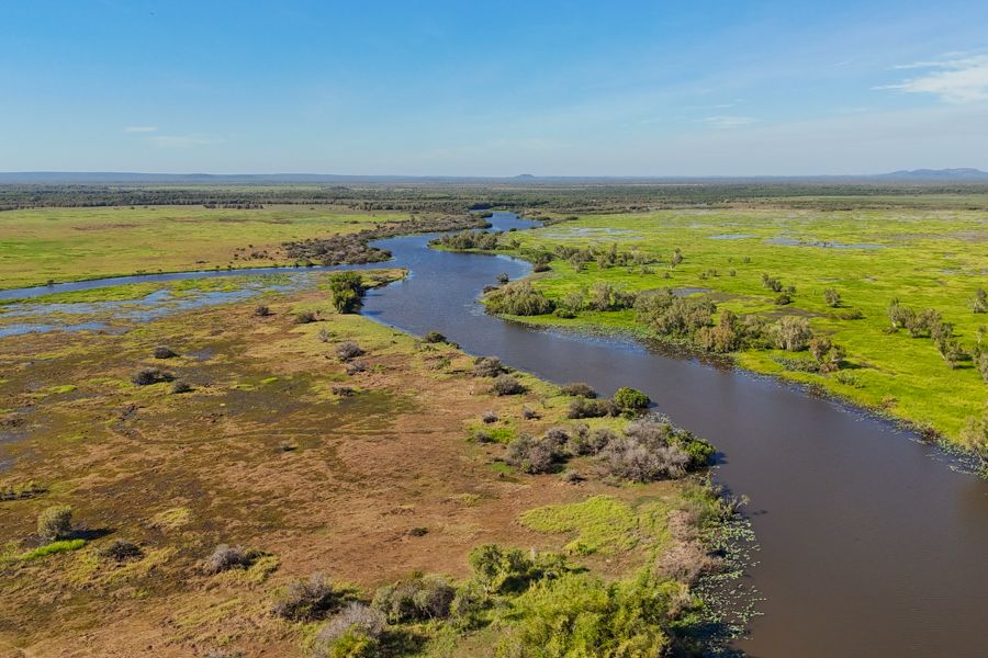 wetlands near darwin top end australia