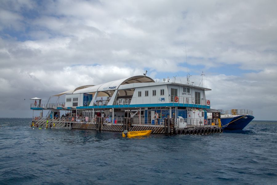 Reef Magic reef magic pontoon great barrier reef