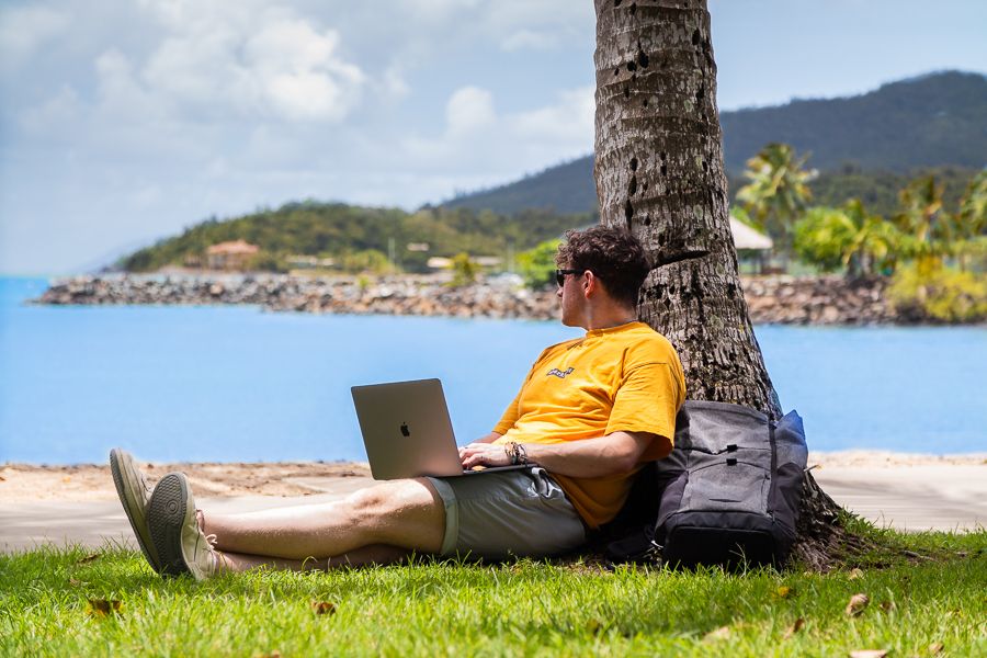 person typing on a laptop in front of a palm tree