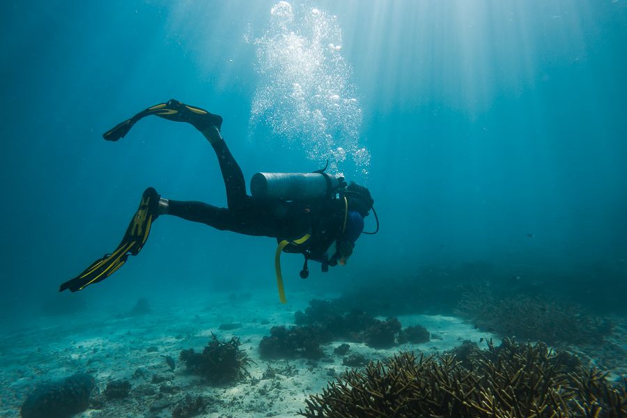 person scuba diving in cairns