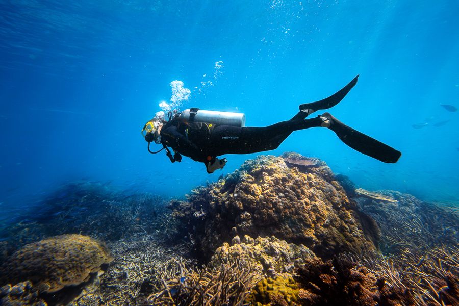 Cairns Tours Hero Image For Ultimate Guide To Cairns Dive Courses