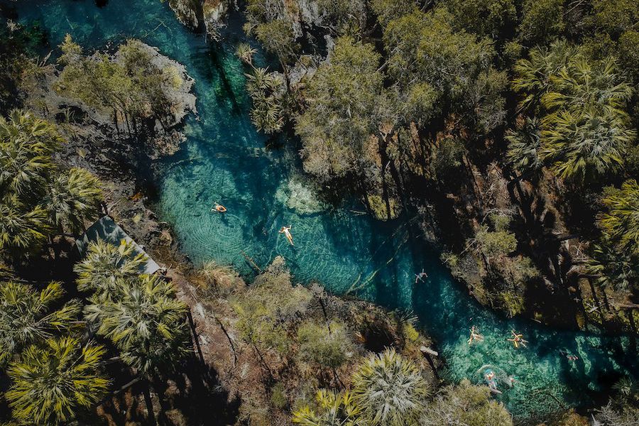 people swimming in mataranka hot springs katherine