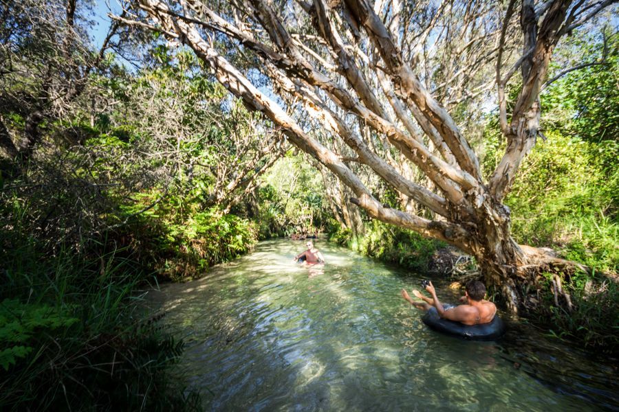 Fraser Tours Hero Image For How To Spend Father's Day On K'gari (Fraser Island)