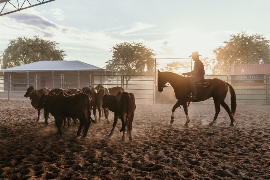 man riding a horse at the katherine outback show