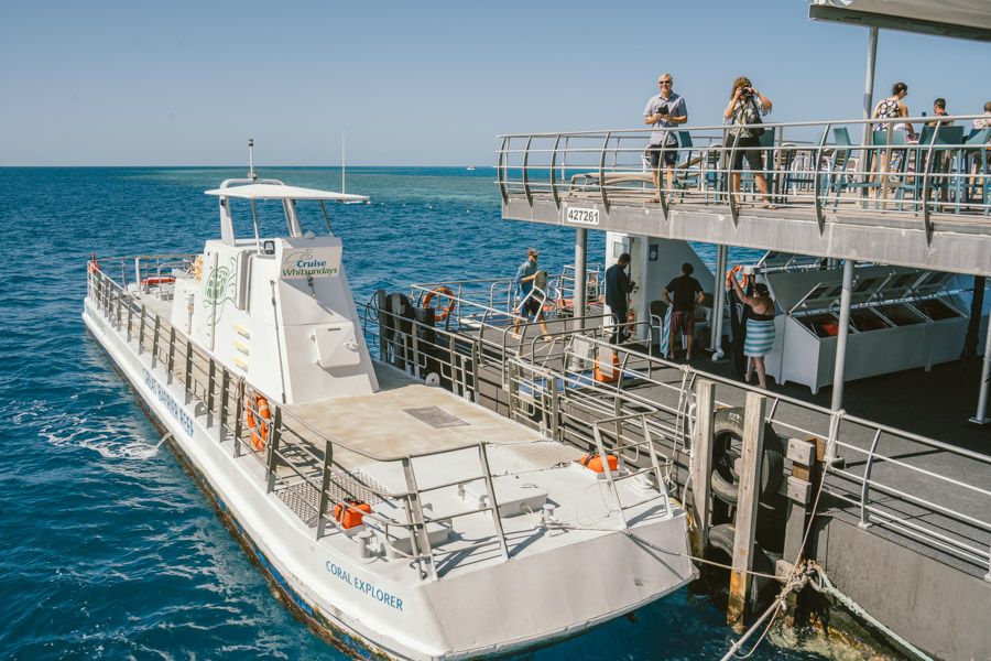 cruise whitsundays reefworld pontoon