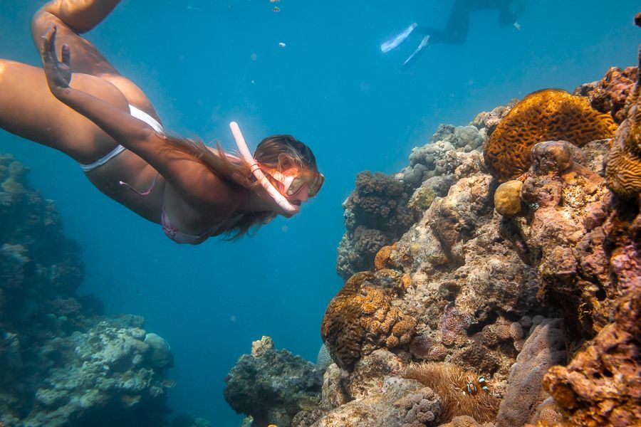 girl snorkelling with coral reefs on the great barrier reef