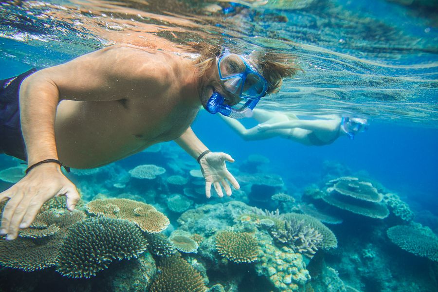 snorkelling with corals on the great barrier reef