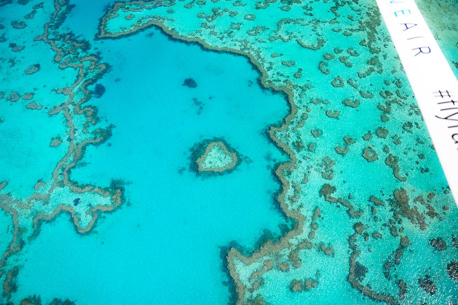 aerial view of heart reef on the great barrier reef