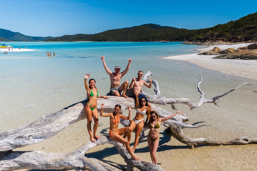 group posing on driftwood tree at whitehaven beach