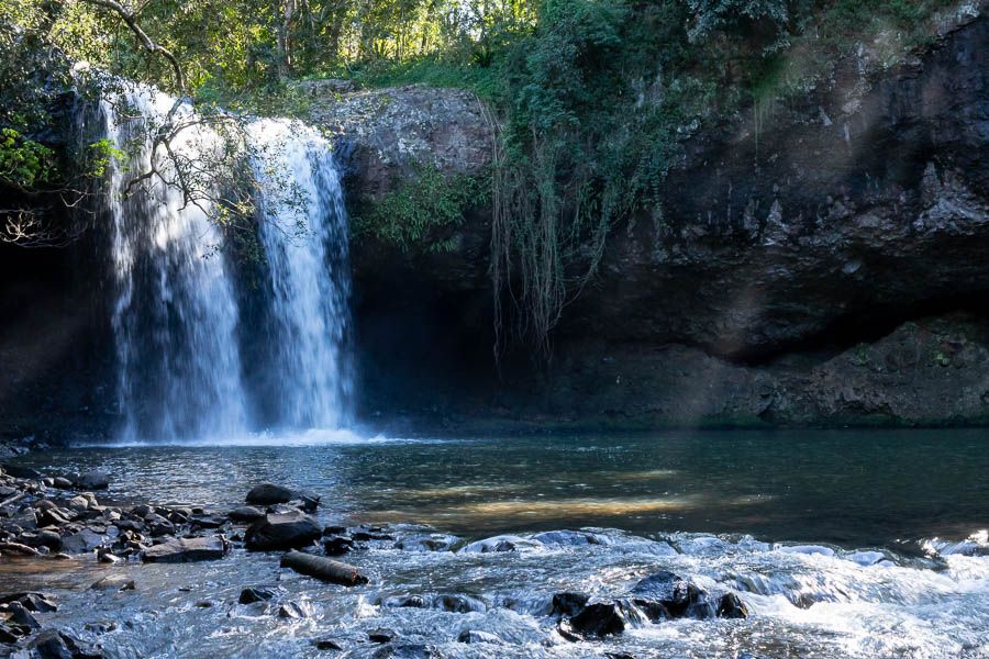 Waterfall in rainforest into pool