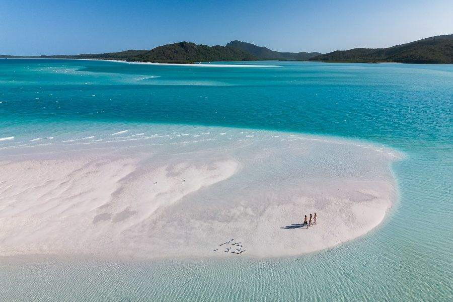 people walking on whitehaven beach and white sands