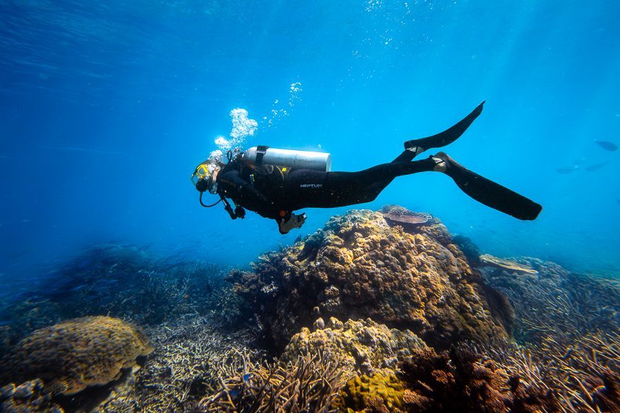 girl scuba diving in the whitsundays great barrier reef