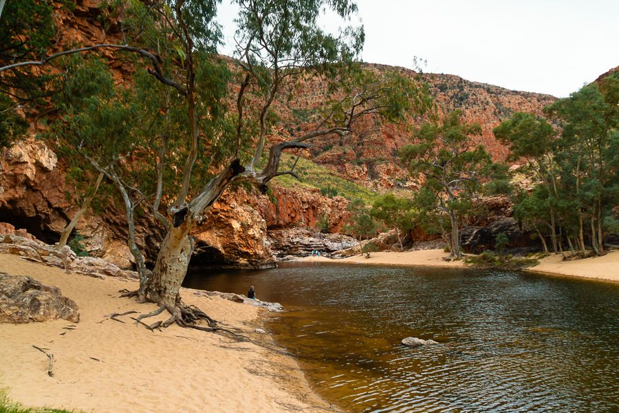 ormiston gorge in the west macdonnell ranges