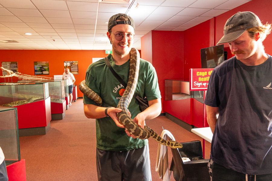 man holding large snake at crocosaurus cove darwin