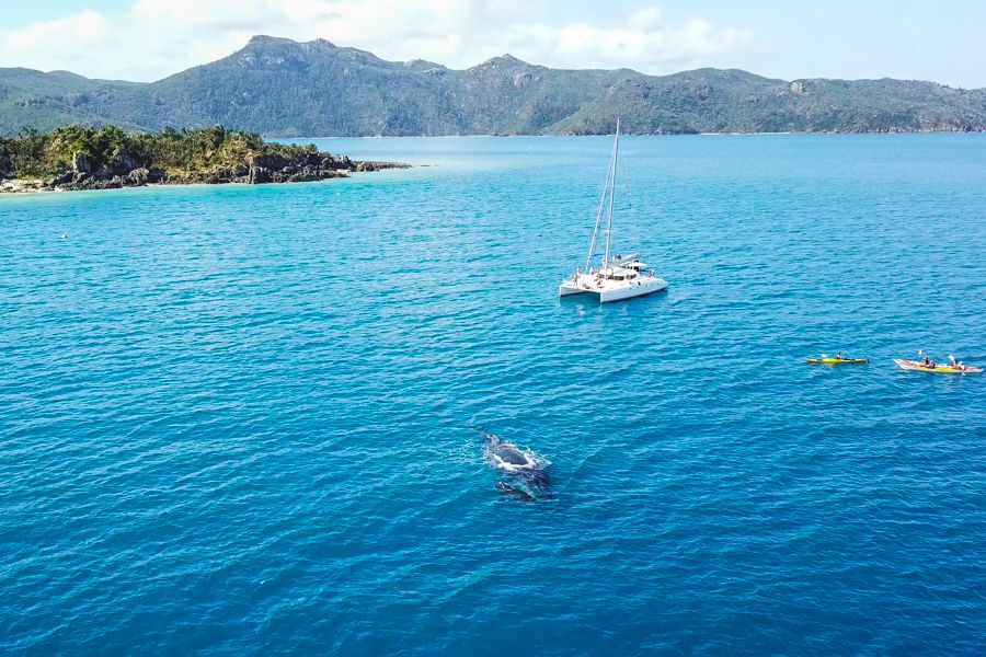 When Is The Best Time to Visit The Whitsundays? Sailing Whitsundays