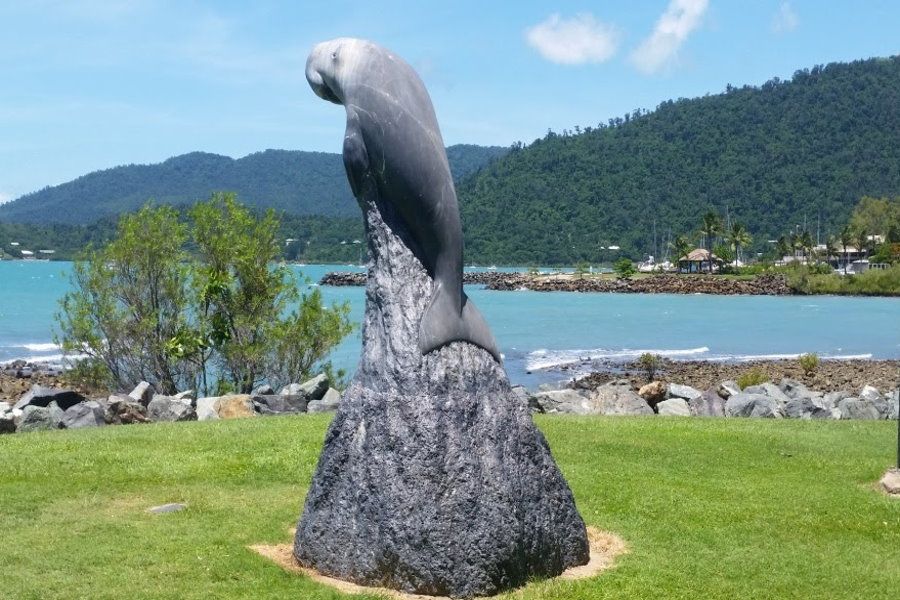 statue of a dugong near the airlie beach lagoon