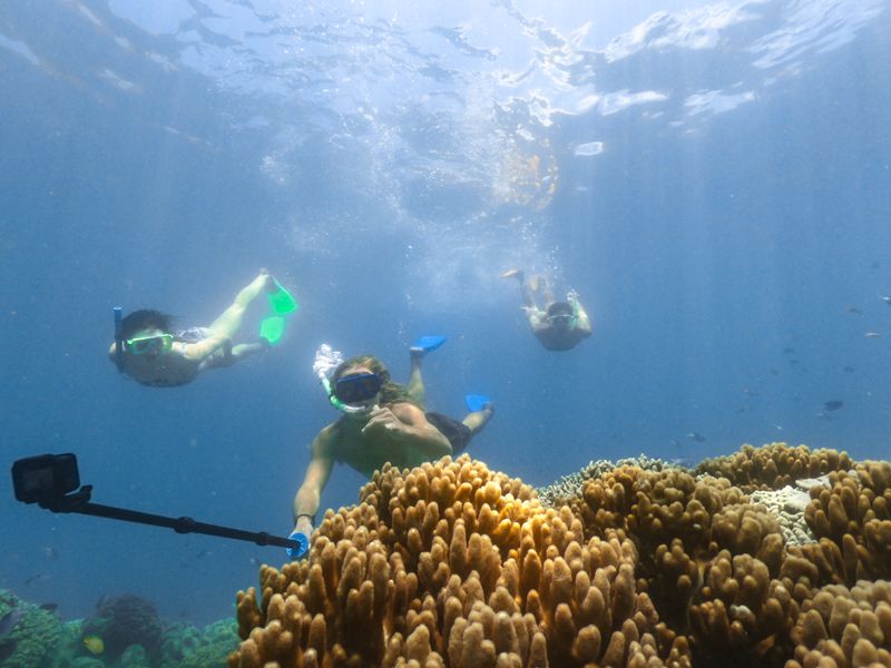 Group of people snorkelling in the Whitsundays