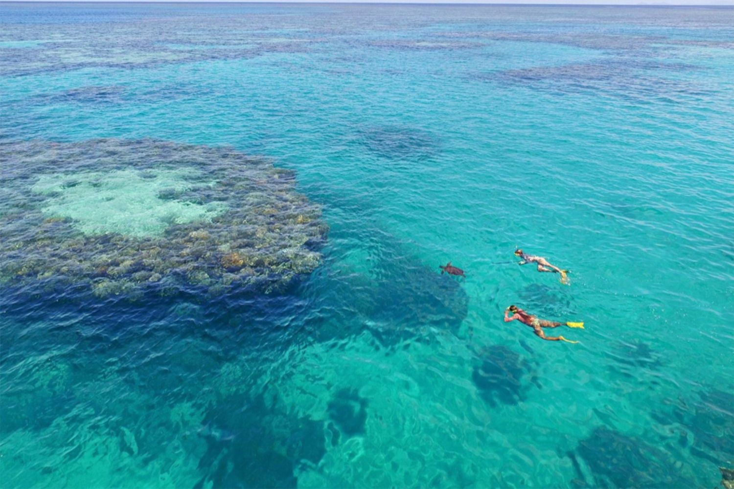 Blue Pearl Bay snorkelers