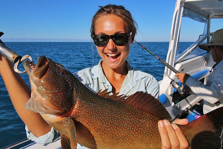 Whitsunday Fishing catch