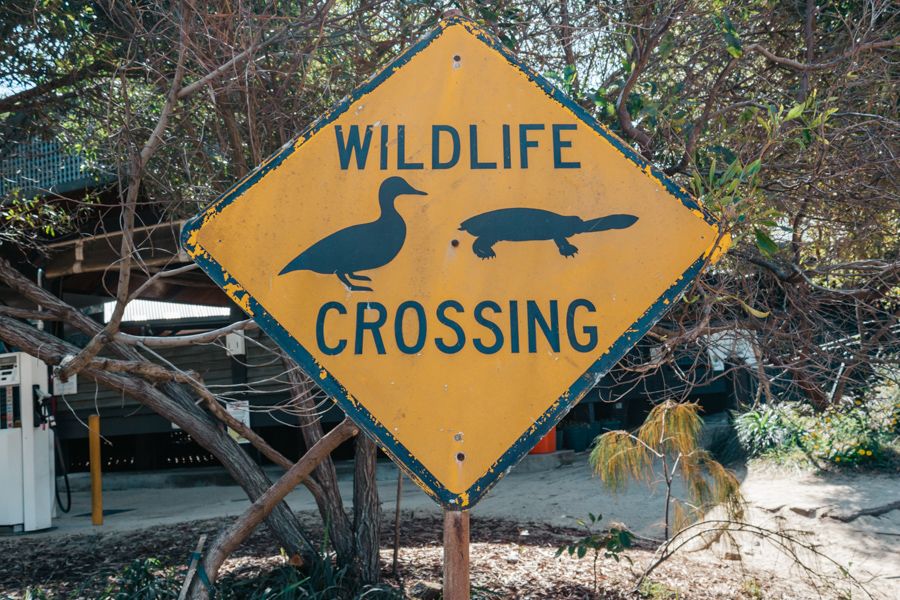 Wildlife Crossing Sign Australia