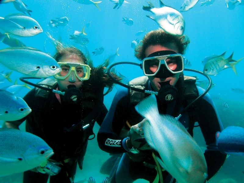 Scuba Dive combo packages Whitsundays budget Great Barrier Reef