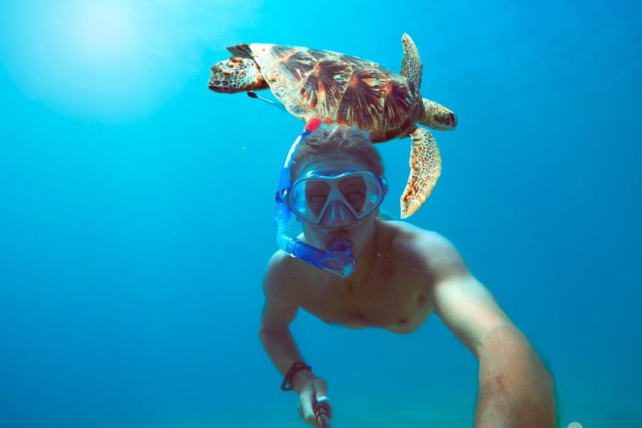 Person snorkelling taking a selfie with a sea turtle