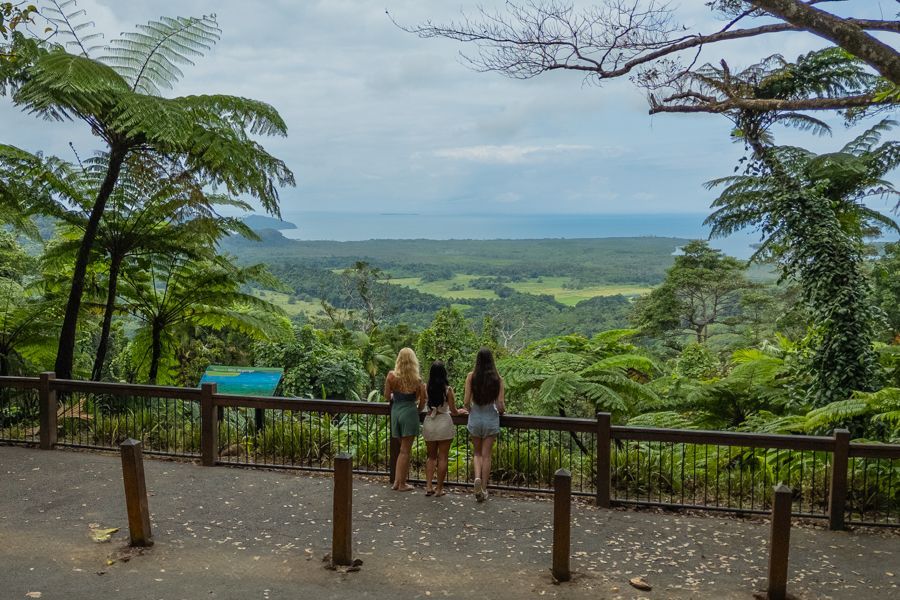 Cairns Tours Hero Image For What Is The Daintree Rainforest? Complete Visitor's Guide