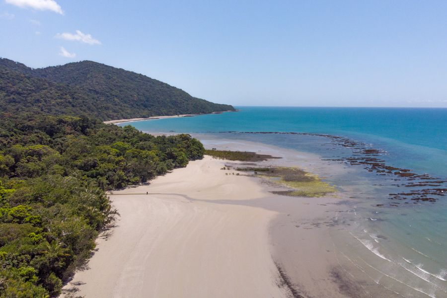 cape tribulation