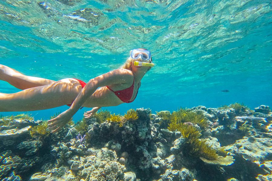 Cairns Tours Hero Image For Cairns and the Great Barrier Reef