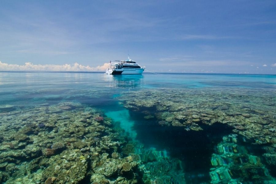 Fringing Reef with fish, animals