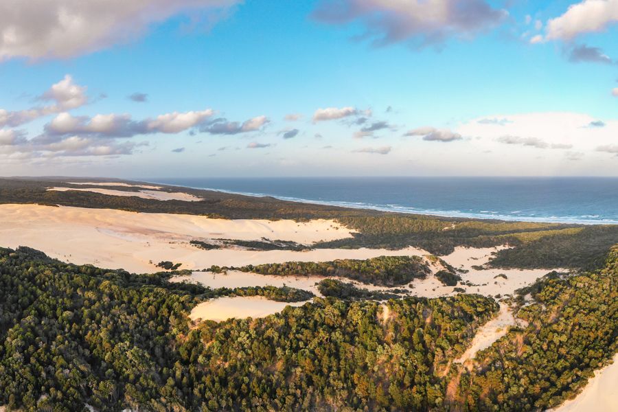 K'gari Landscape