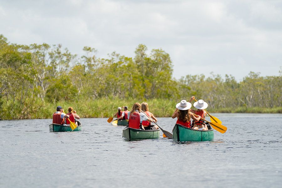 Noosa Everglades