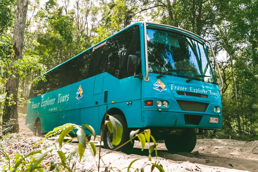 Fraser Explorer Tour bus in the bush, Fraser Island